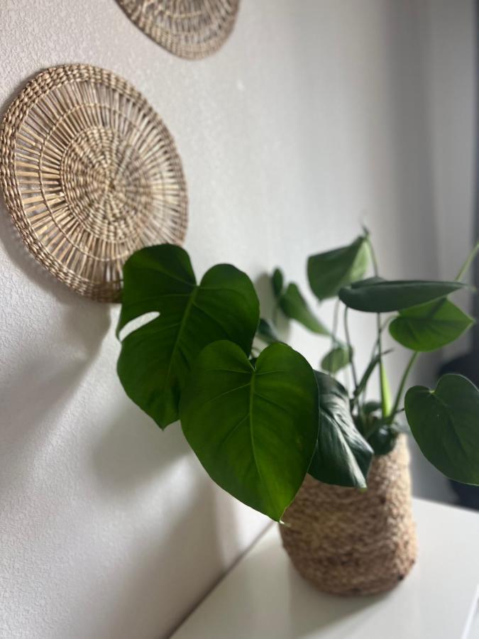 T2 Cosy Ajaccio Apartment อฌักซิโอ้ ภายนอก รูปภาพ